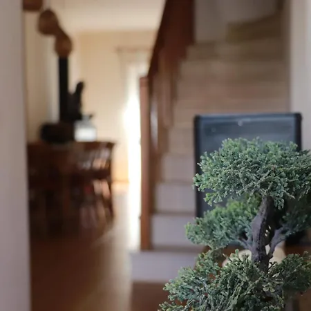 Apartamento Fantastic With Pool Access Pataias