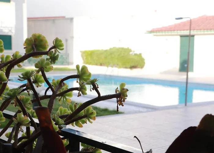 Fantastic With Pool Access Apartamento *