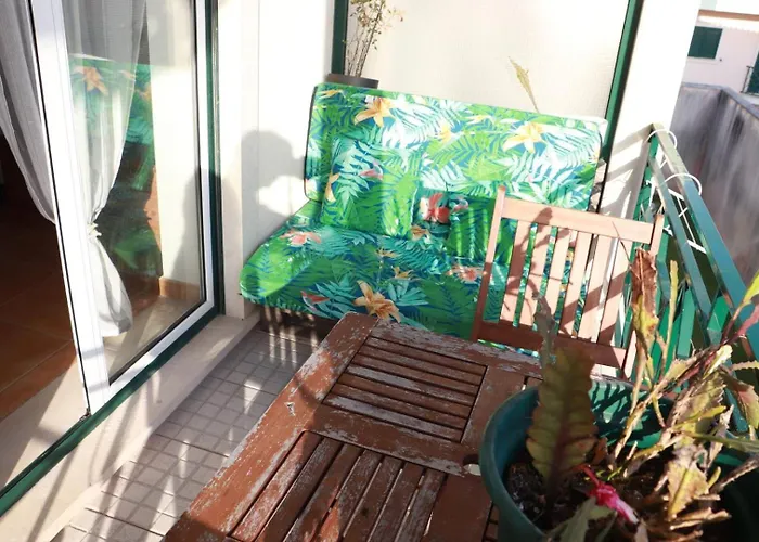 Fantastic With Pool Access Pataias